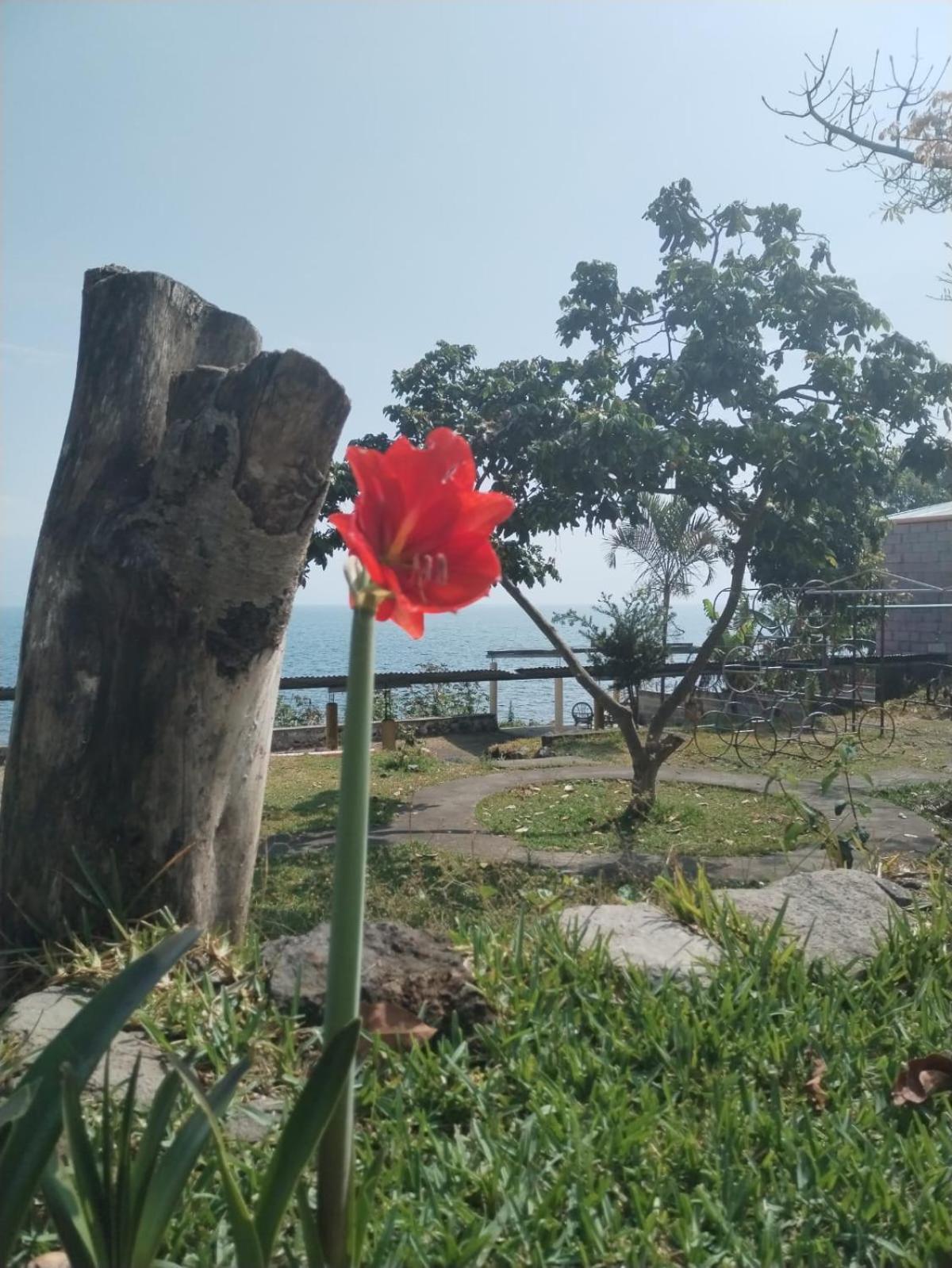 Hotel Porto Bello 산 페드로 라 라구나 외부 사진